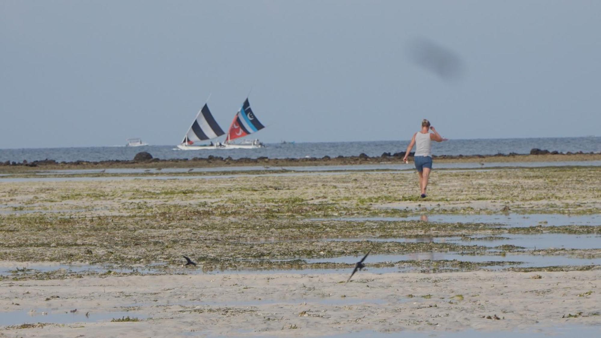 Mola2 Resort Gili Air Esterno foto