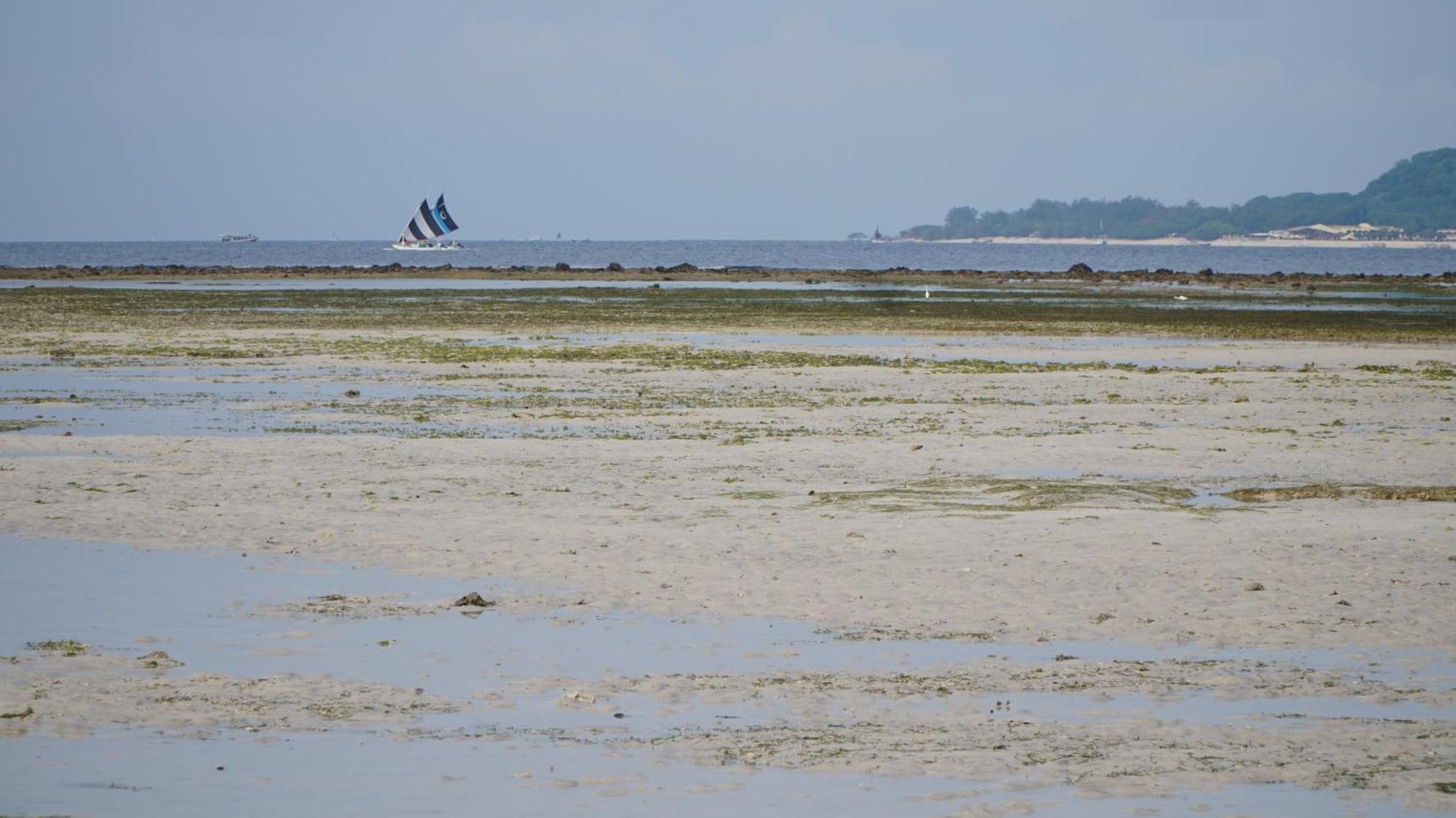 Mola2 Resort Gili Air Esterno foto